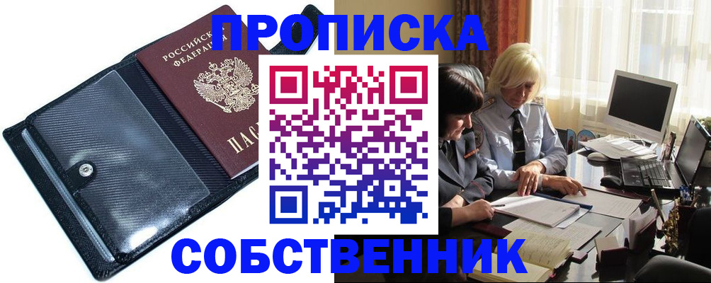 временная регистрация для школы в Щёлково